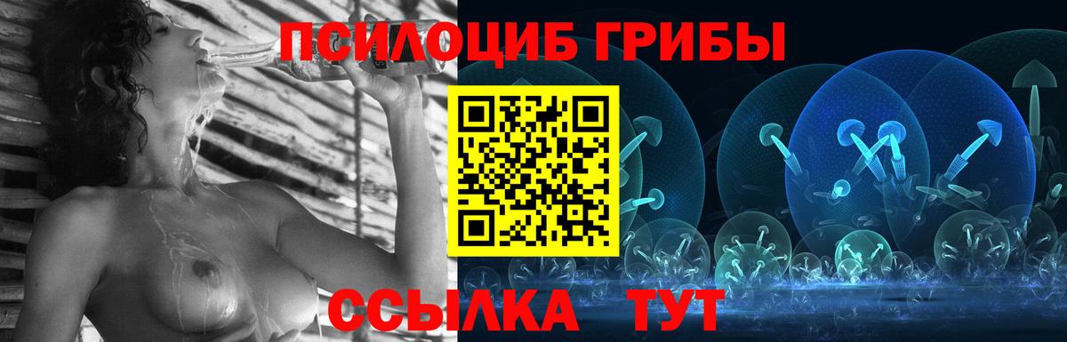 Горячий Ключ  Псилоцибиновые грибы Magic Shrooms  Вход с VPN  Галлюциногенные грибы Psilocybe 